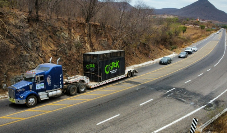 About 700 animals were transported by road to a ranch on Mexico's Pacific coast
