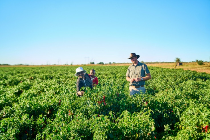 Miriam Mupambawashe and Daniel Burger are farmers and neighbours in Zimbabwe's Midlands province