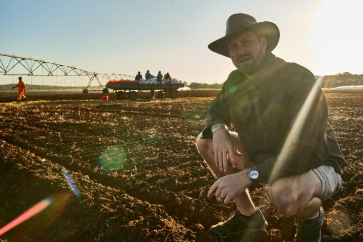 Farmer Daniel Burger wants Zimbabwe to reestablish its former glory as an agricultural powerhouse