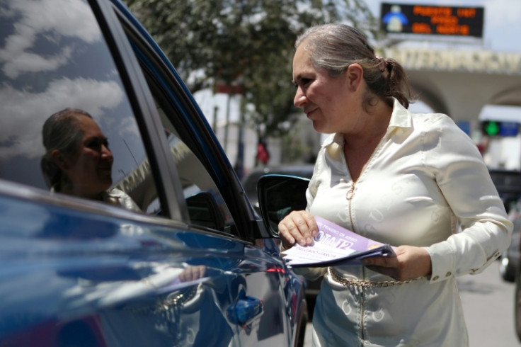Silvia Delgado is considered a "high-risk" candidate by rights group Defensorxs due to her past work for convicted drug trafficker Joaquin "El Chapo" Guzman