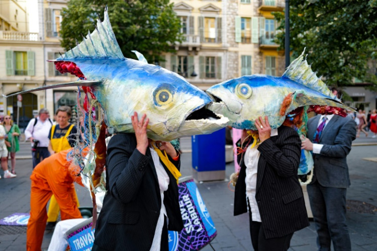 France is hosting world leaders scientists, business leaders and marine conservationists for a global oceans summit