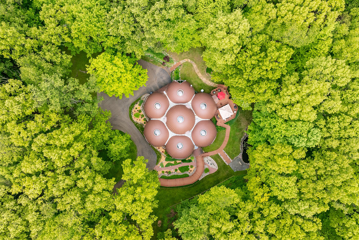 https://d.ibtimes.com/en/full/4604686/boba-tea-mansion-michigan.jpg
