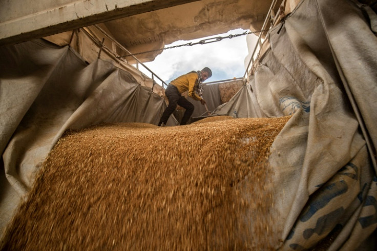 A worker rakes wheat purchased by the Kurdish authorities as it's unloaded at a silo in the northeast Syrian city of Qamishli
