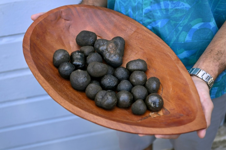 Huge tracts of Pacific Ocean seabed are carpeted in polymetallic nodules, bulbous lumps of rock that are rich in metals used in battery production
