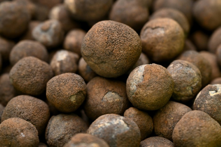 The Metals Company is pushing to be the first to mine these nodules in international waters