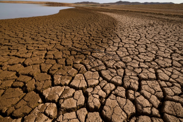 Scientists say that recurring heatwaves are a clear marker of global warming and that they are set to become more frequent, longer and more intense