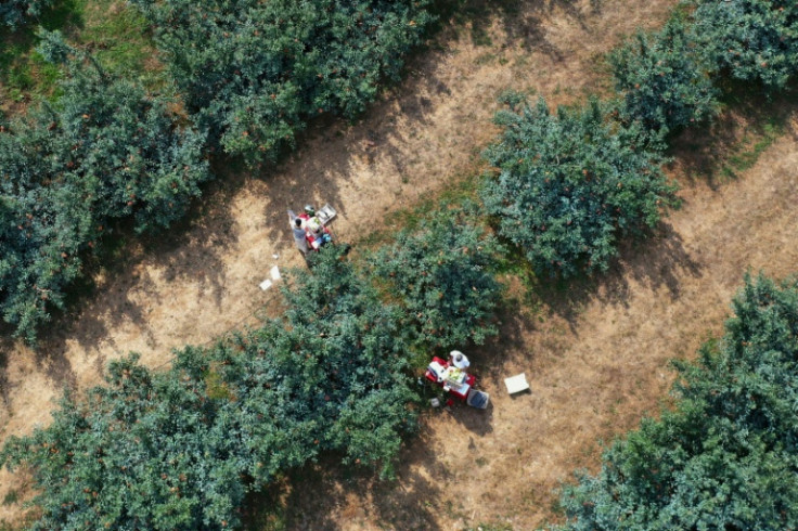 President Xi Jinping has identified rural revitalisation as a key priority for China's development since taking office in 2012