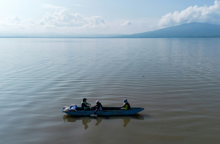 Fishermen are helping researchers to try to save an endangered salamander from extinction in Mexico's Lake Patzcuaro