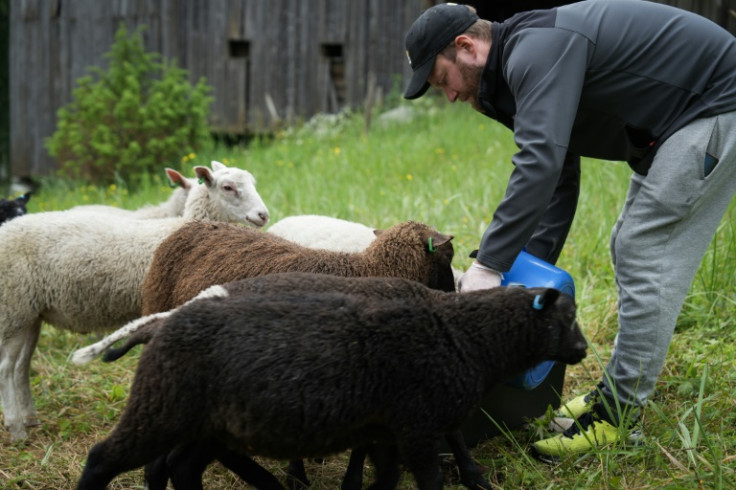 Petri Stenberg is enjoying a 'shepherd week' together with his wife Oona and their two children