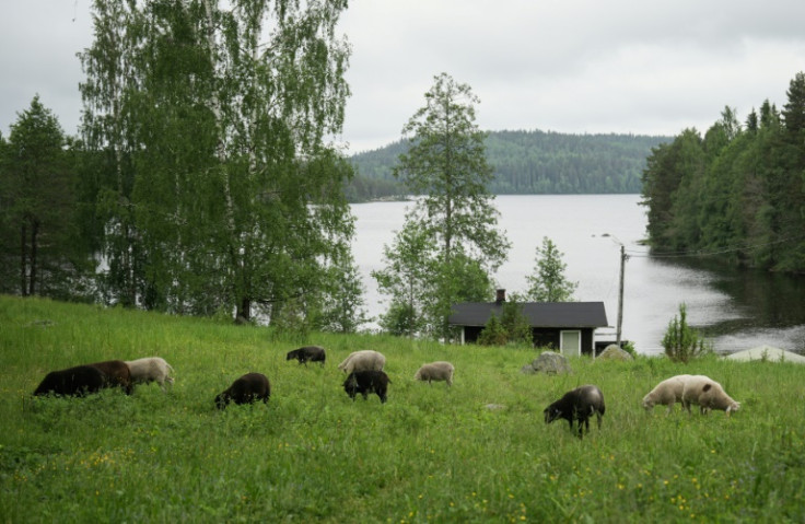 The small farm, a working farm until 1989, has since been acquired by Metsahallitus