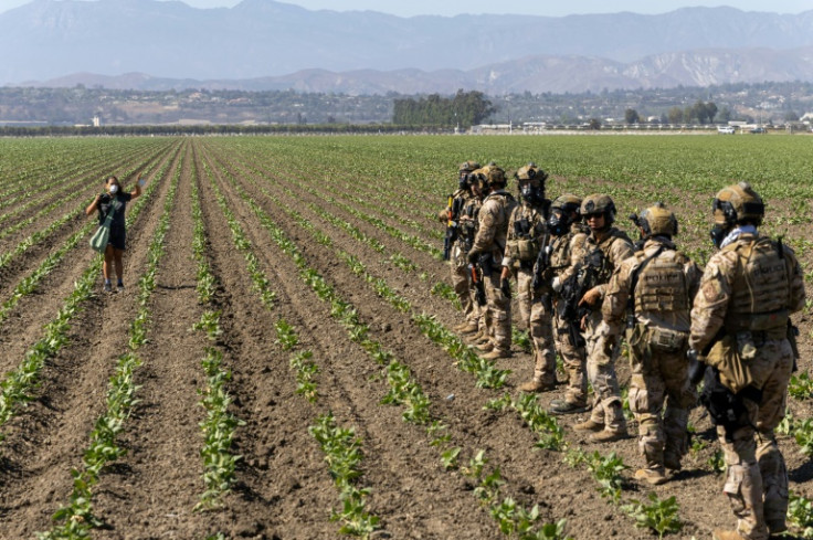 Customs and Border Protection officers raid a farm in Camarillo, California