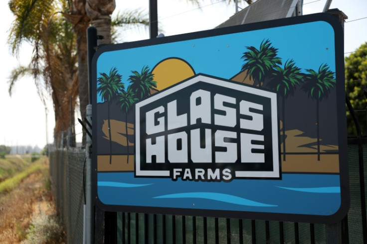 Glass House Brands, which owns the farms, said in a statement that it has 'never knowingly violated applicable hiring practices'