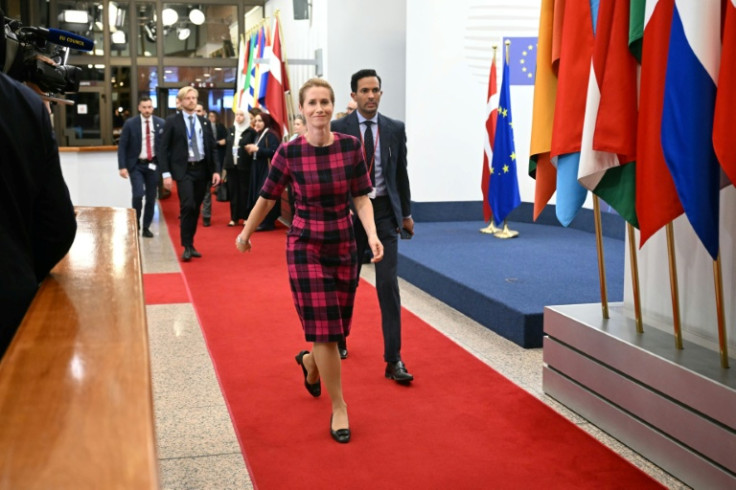 EU foreign policy chief Kaja Kallas has put forward a raft of options for action against Israel over the war in Gaza -- but EU foreign ministers will likely not agree on any