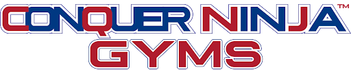 Conquer Ninja Gyms