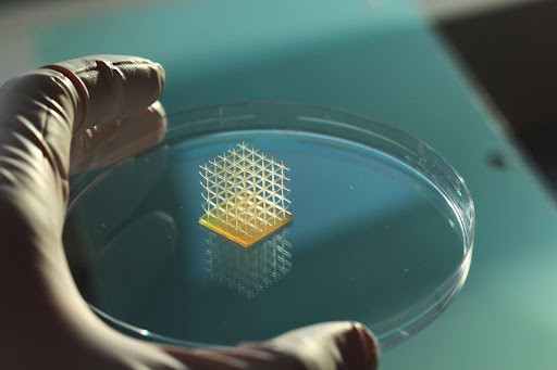 A 3D printed scaffold to guide cell growth made out