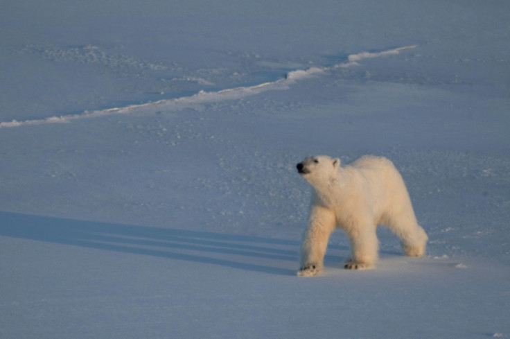 Global warming has been happening in the Arctic three to four times faster than elsewhere
