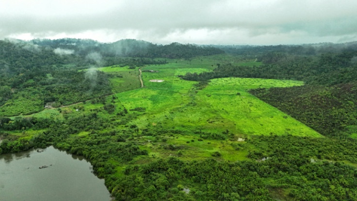 This aerial view shows a degraded area of the Amazon rainforest, near the Koatinemo indigenous land, in Para state, Brazil