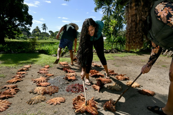 The Cook Islands is waging a war against crown-of-thorns starfish, a coral-munching species eating through tropical reefs already weakened by climate change