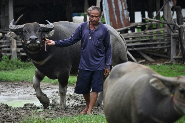 Farmer Samuan Niratpai refuses to evacuate from his village despite clashes on the Thai-Cambodia border