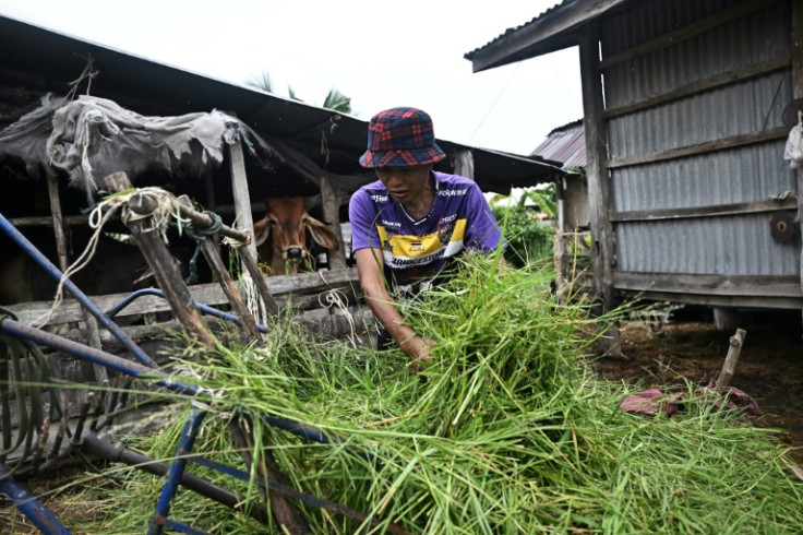 Keng Pitonam is now responsible for dozens of neighbours' animals as well as their homes