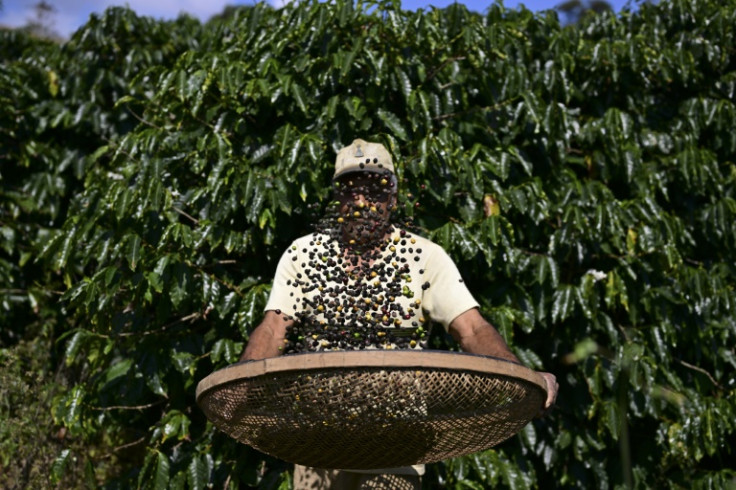 Coffee is among the many products imported to the United States that face steep potential tariffs