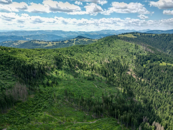 This aerial view taken on July 9, 2023 shows former logging areas in Romania's Tarhaus Valley