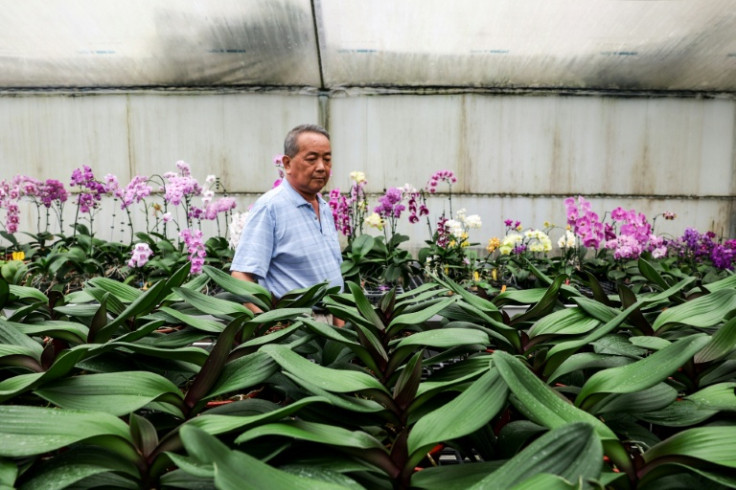 Orchid grower Lee Tsang-yu is optimistic his efforts to expand into other markets will gradually offset the impact of tariffs and reduced shipments to the United States