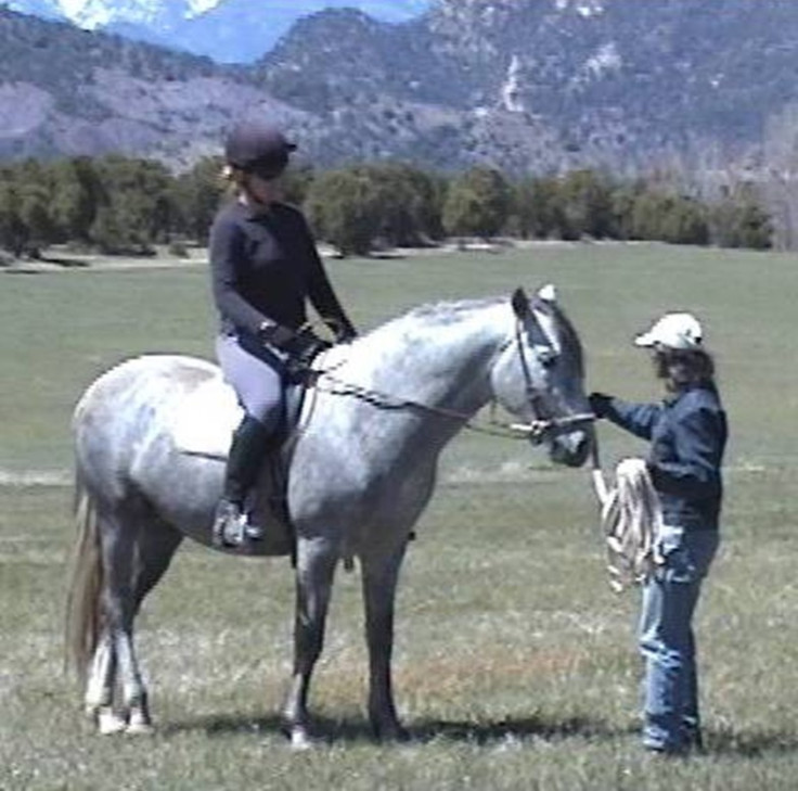 The Equine Therapy