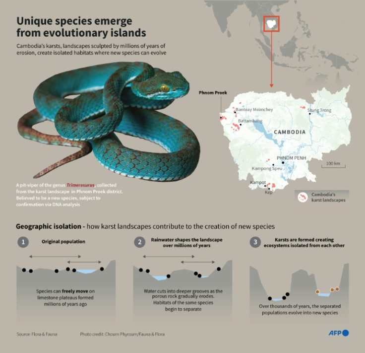 Infographic on the discovery of new species in Cambodia’s karst landscapes, where limestone has eroded to form isolated ecosystems.