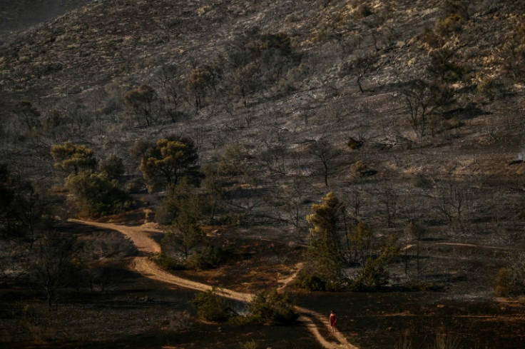 The fire erupted in the rural region of Keratea, some 43 kilometres (27 miles) southeast of Athens