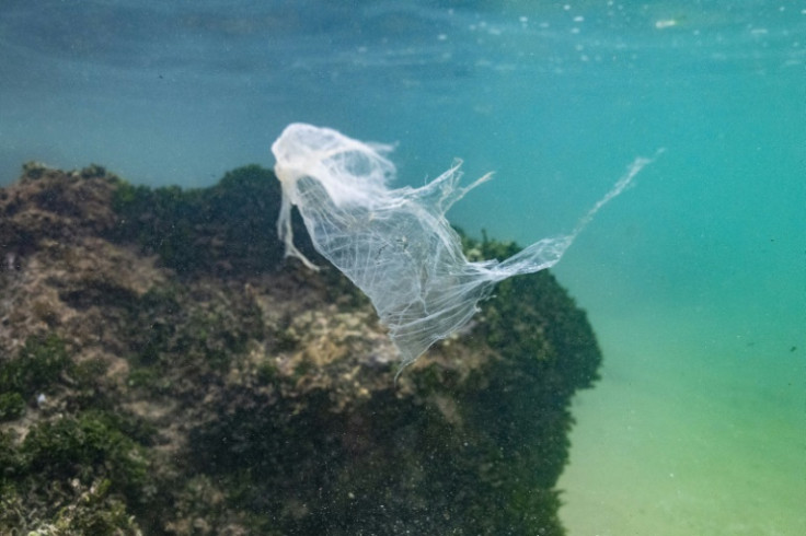 A plastic bag floating in the Indian Ocean