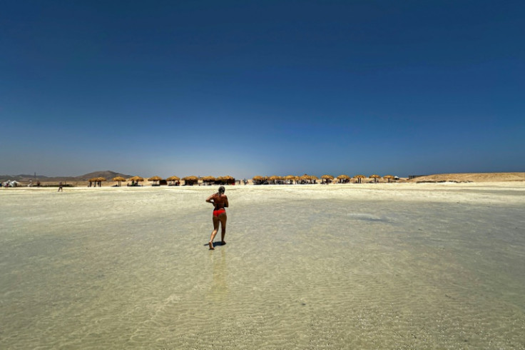 Ras Hankorab sits inside Wadi al-Gemal National Park, declared a protected area in 2003