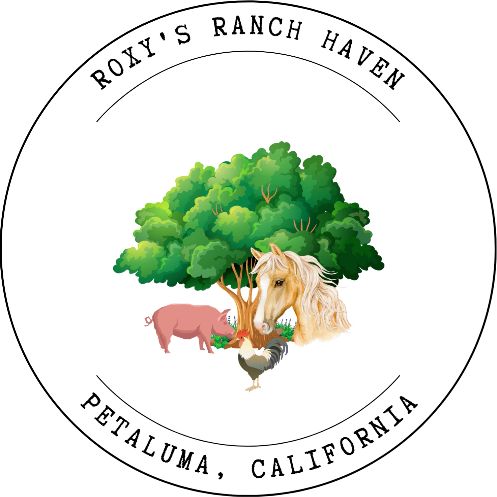 Roxy's Ranch Haven