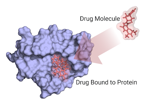Drug Molecule