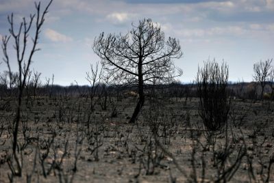 The August heatwave exacerbated tinderbox conditions that have fuelled deadly wildfires
