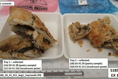 Patterson was found guilty of serving a poisonous beef Wellington that killed her husband's parents and aunt