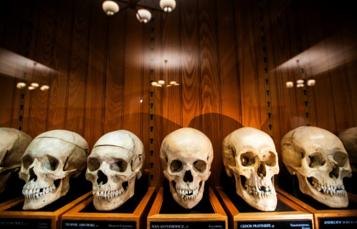 Skulls from the Josef Hyrtl Collection at the Mutter Museum, in Philadelphia, Pennsylvania