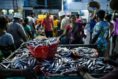 Fishermen wait for customers at the Kasimedu  harbour in Chennai