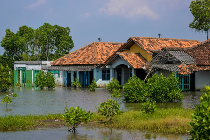 Climate experts warn a plan to build a 700-kilometre seawall along Java's coast could make matters worse by pushing erosion elsewhere and disrupting ecosystems
