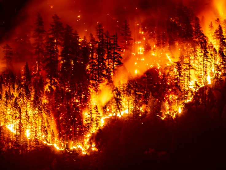 Wildfires in the Amazon, Canada and Siberia have brought home how air quality can be impacted on a vast scale