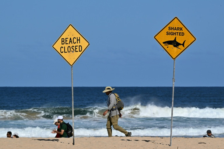 A surfer killed off Sydney was likely taken by a great white shark