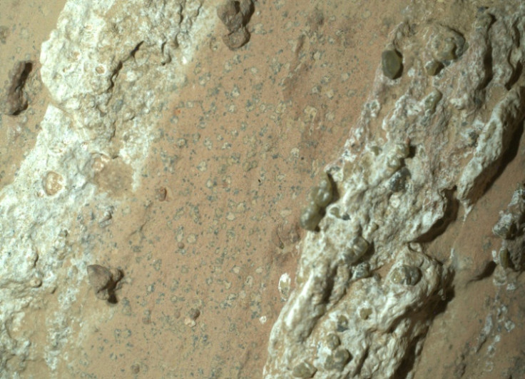 An image taken by NASA's Perseverance rover that shows "leopard spots" on a reddish rock nicknamed "Cheyava Falls" in Mars' Jerezo Crater in July 2024