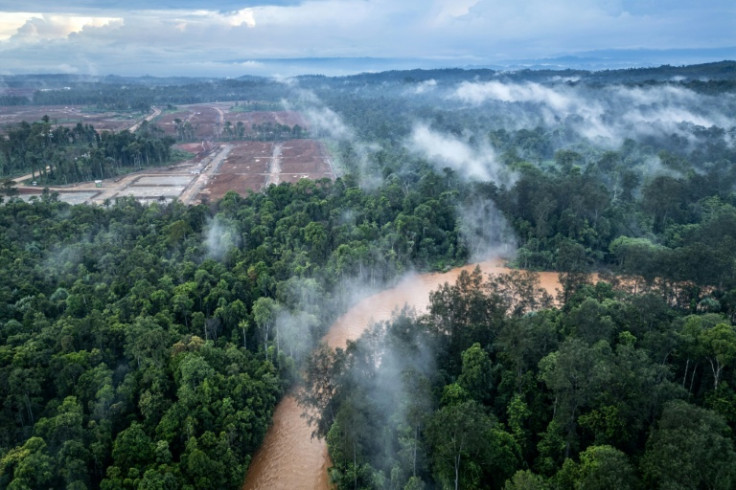 An AFP investigation earlier this year showed the nickel mine's effects on members of one of Indonesia's last isolated hunter-gatherer communities