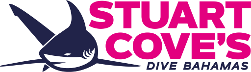 https://d.ibtimes.com/en/full/4621592/stuartcovesdivebahamas.png