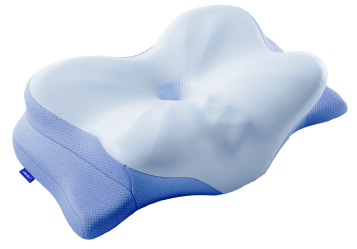 Derila Ergo Memory Foam Pillow