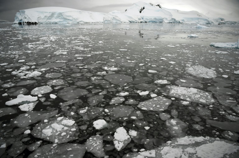 https://d.ibtimes.com/en/full/4624693/ice-floating-surface-sea-western-antarctic-peninsula-2016.jpg