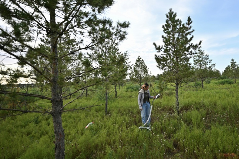 https://d.ibtimes.com/en/full/4625155/student-works-greening-project-across-arid-desert-regions-known-great-green-wall-kubuqi.jpg