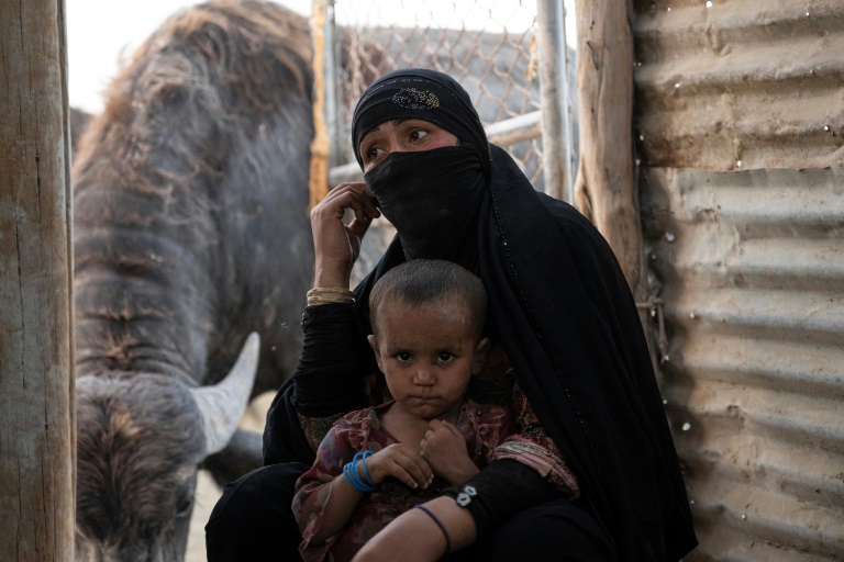 Water Salinity Hurting Farmers, Livestock In Iraq