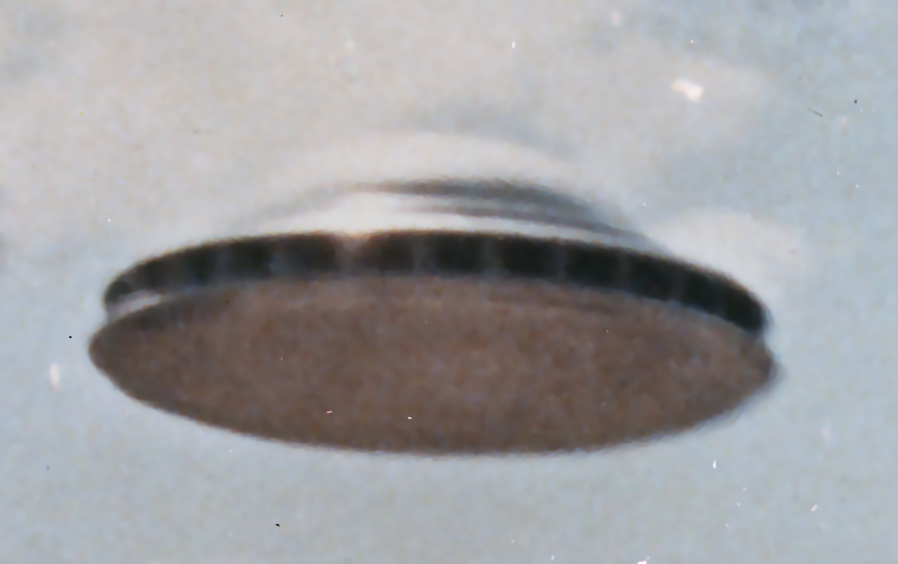 https://d.ibtimes.com/en/full/4633455/flying-saucer-usa-national-archives-records-administration.png