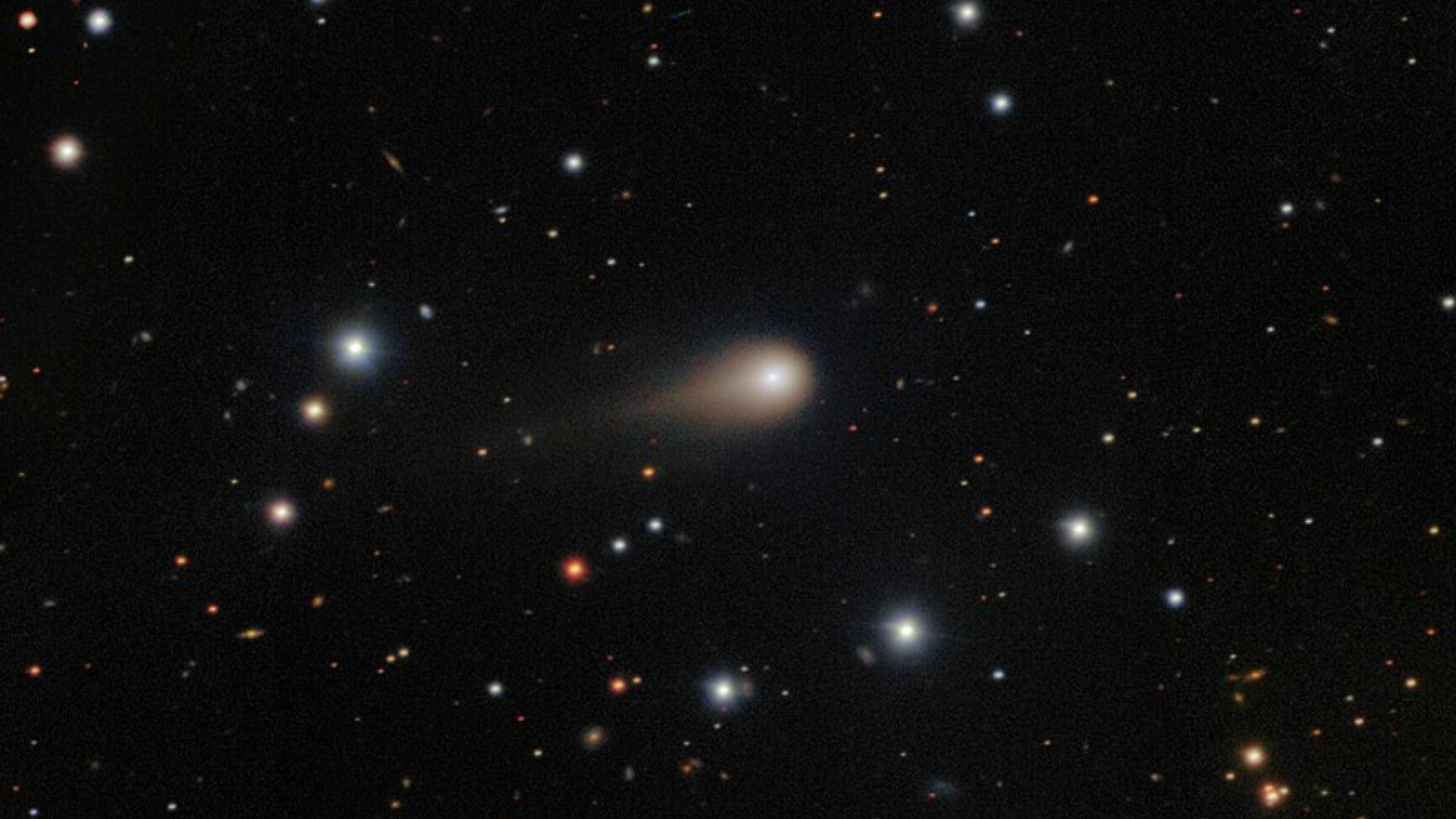 News image for article Sporticast 505 Amazons Black Friday Takeover Continues